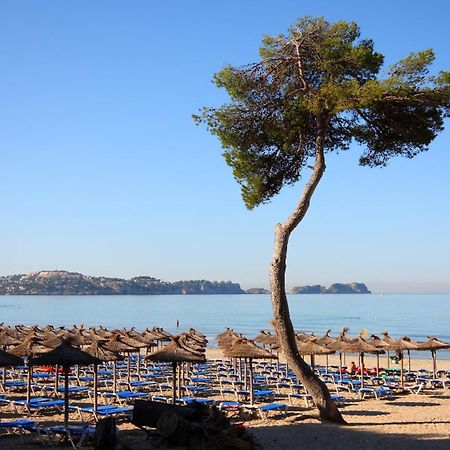 Apartamentos Petit Blau Παγκουέρα Εξωτερικό φωτογραφία