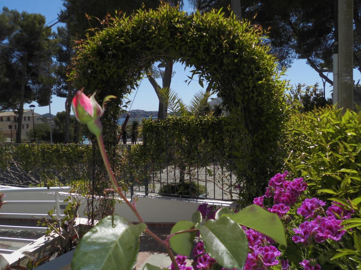Apartamentos Petit Blau Παγκουέρα Εξωτερικό φωτογραφία
